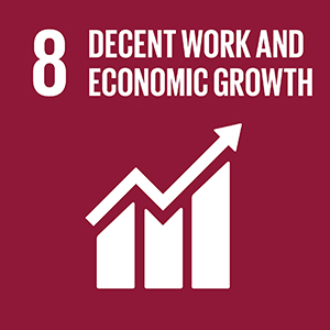 UN Sustainable Development Goal 08